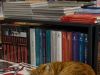 librarycat