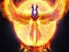 The Immortal  Phoenix 