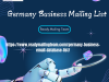 Germany Business Mailing List