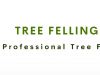 Tree Felling Pinetown