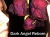 Dark Angel Reborn