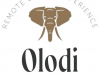 Olodi African Pathways