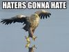 Hater of Haters