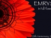 Emrys Foundation