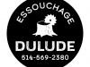 Essouchage Dulude