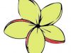 Plumeria Lei Greetings