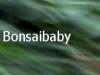 bonsaibaby