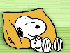Alan - aka - Snoopy