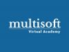 Multisoft Virtual Academy