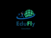 Edufly consultant