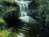 Where Rivers Wander