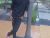 Abhi__Shikku