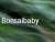 bonsaibaby