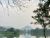 Shreyaa
