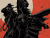 Zorro_13