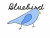 Bluebird91