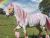 Eric The Pony