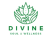 Divine Soul Wellness Spa