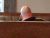 Eggbert