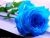 ROMANTIC FREE VERSE POEM ~ T.B.R.C. (The Blue Rose Cafe)