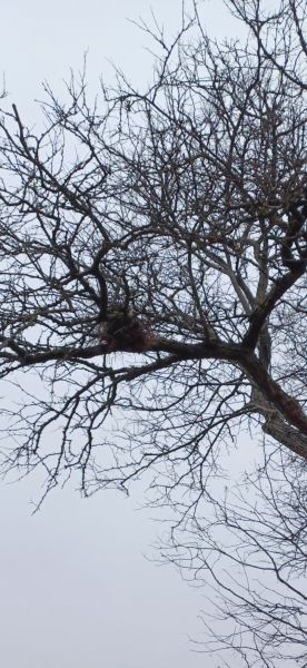 ...an unfinished sky