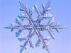 Let's Write! <img src='https://www.writerscafe.org/images/breadcrumb.png' width='7' height='11' alt=':' class='absmiddle' /> You are not a Special Snowflake