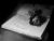 Broken Poets & Writers