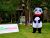 Mascotshows: Only $189.00 for Unique Panda Costumes on Hallo