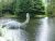 Cryptid Creatures