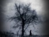 Impulse/ my dead tree