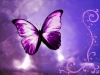 Give Me Wings