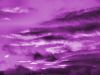 The Purple Sky