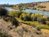 "The Green World of the Missouri River's Edge"