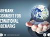 What Is The Assignment Process For International Trademarks?