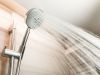 Verify Features And Purchase a RV Shower Head