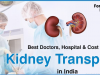 A New Ray of Hope For Kidney Failure Egypt Patient  at one of the Best Kidney Transplant in india