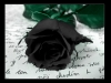 99 Black Roses