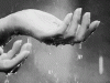 Now lost in free fall