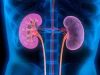 Acute Kidney Injury Therapeutics Market - Upcoming Business Future Growth and Forecast To 2027