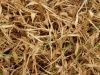 Global Wheat Straw Pulp Market Current Trends and Future Aspect Analysis Report 2021&ndash;2028