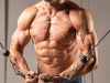Explosive Muscle Reviews: Take Your Workout Efficiency to a one more Level
