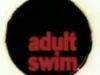 Adult Swim, in 289 Syllables