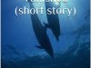 The Day the Dolphins Vanished (short story)
