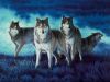 Wolves