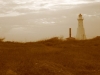 The Lighthouse Lover