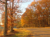 Autumn Falls