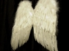 Angel Wings