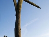 Memoirs of the Sheepscombe Gibbet