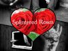 Splintered Roses