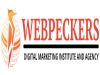 Webpeckers Digital Marketing Institute and Agency Offering Training Services
